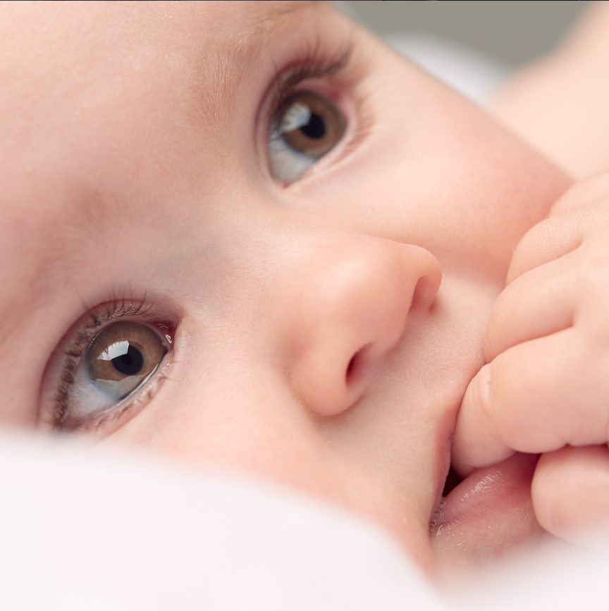 Галерея. GoldenLioness | Фотосессия новорожденных детей (newborn) Москва и область