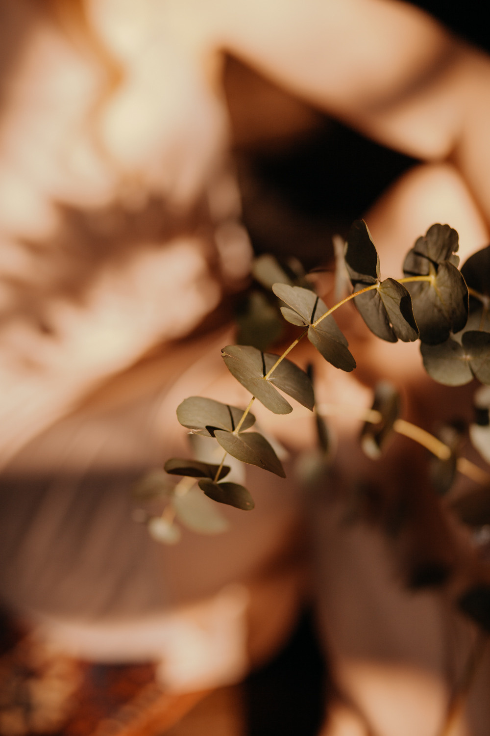 Эльвира. Фотограф Сергиев Посад Москва Хованская Екатерина