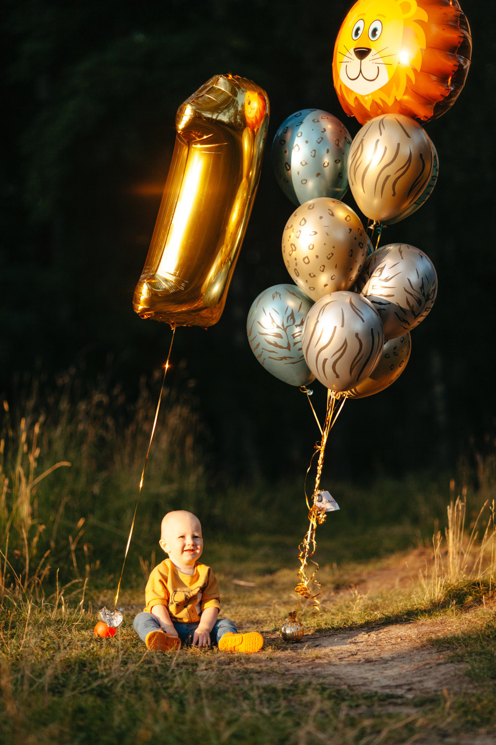 Годик Арсению. Фотограф Сергиев Посад Москва Хованская Екатерина