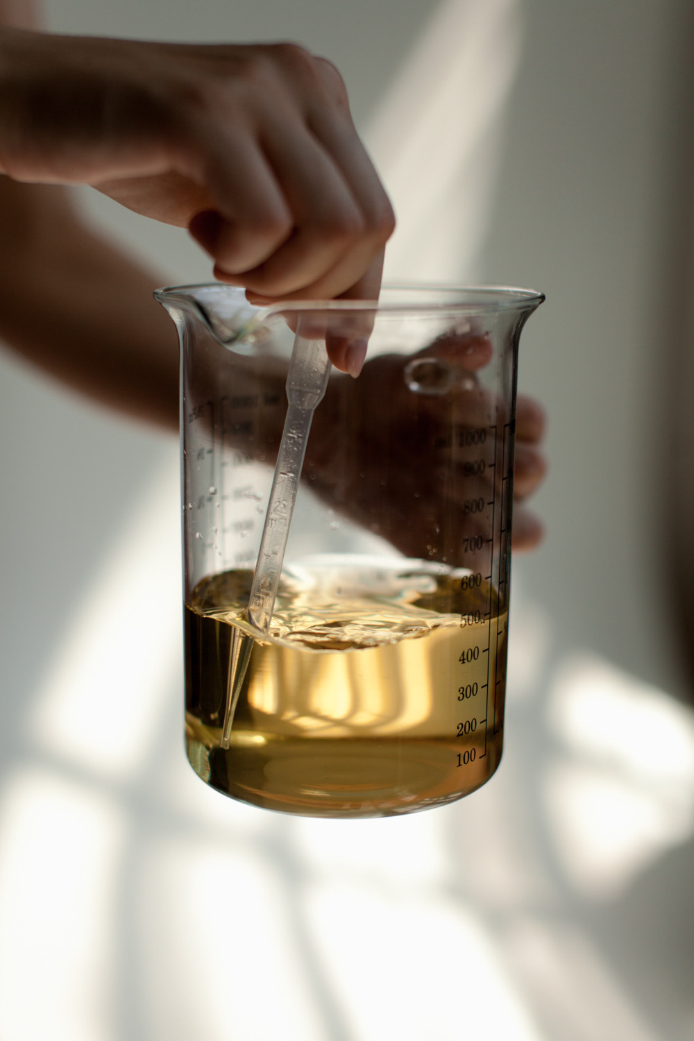 Aroma Rules. Фотограф Сергиев Посад Москва Хованская Екатерина