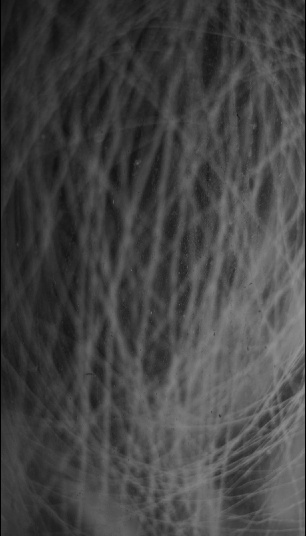 Видеоинсталляция Место Пробела. Художественная группа «Нежные Бабы»