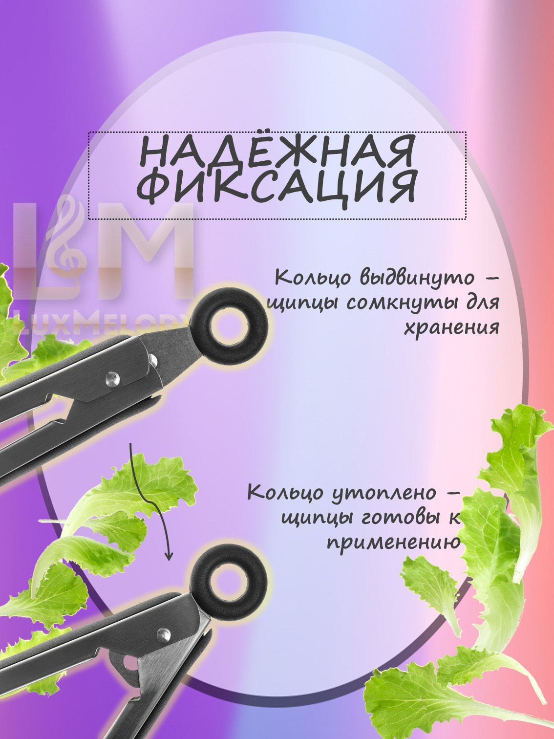 Инфографика. Фотограф в Москве Дмитровская Дарья