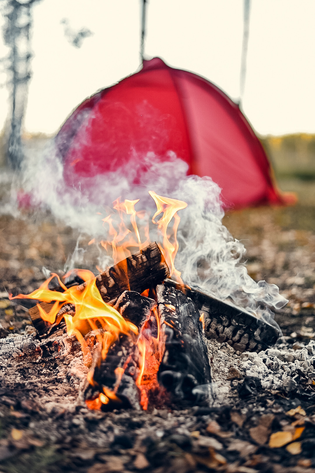 Пикник на природе. Фуд и предметный фотограф Москва