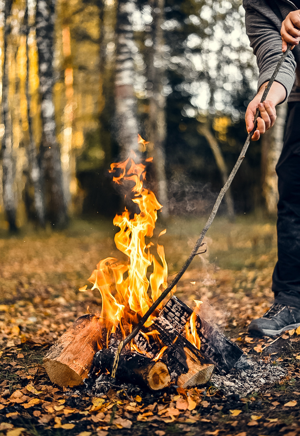 Пикник на природе. Фуд и предметный фотограф Москва