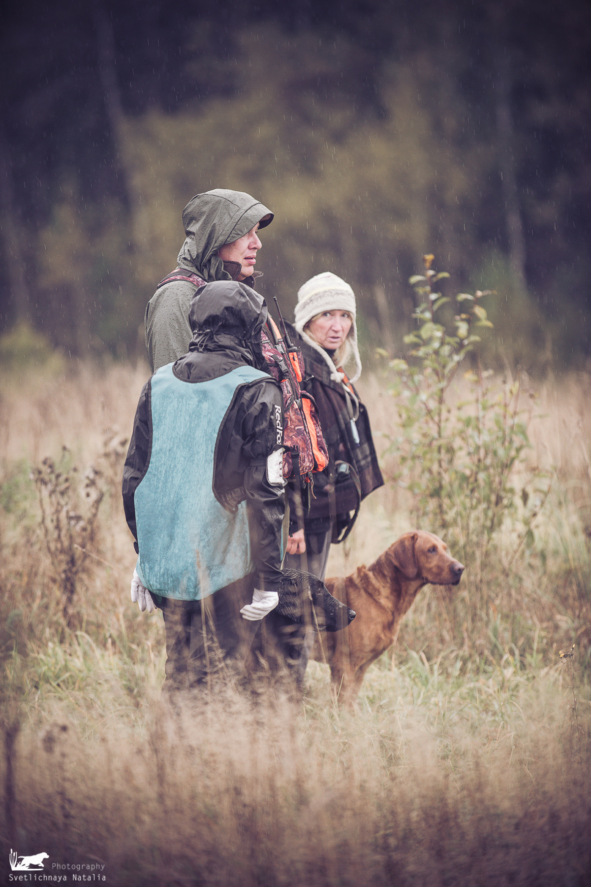 Training Field trial for retrievers, 25.09.2021. Фотограф-анималист Наталья Светличная