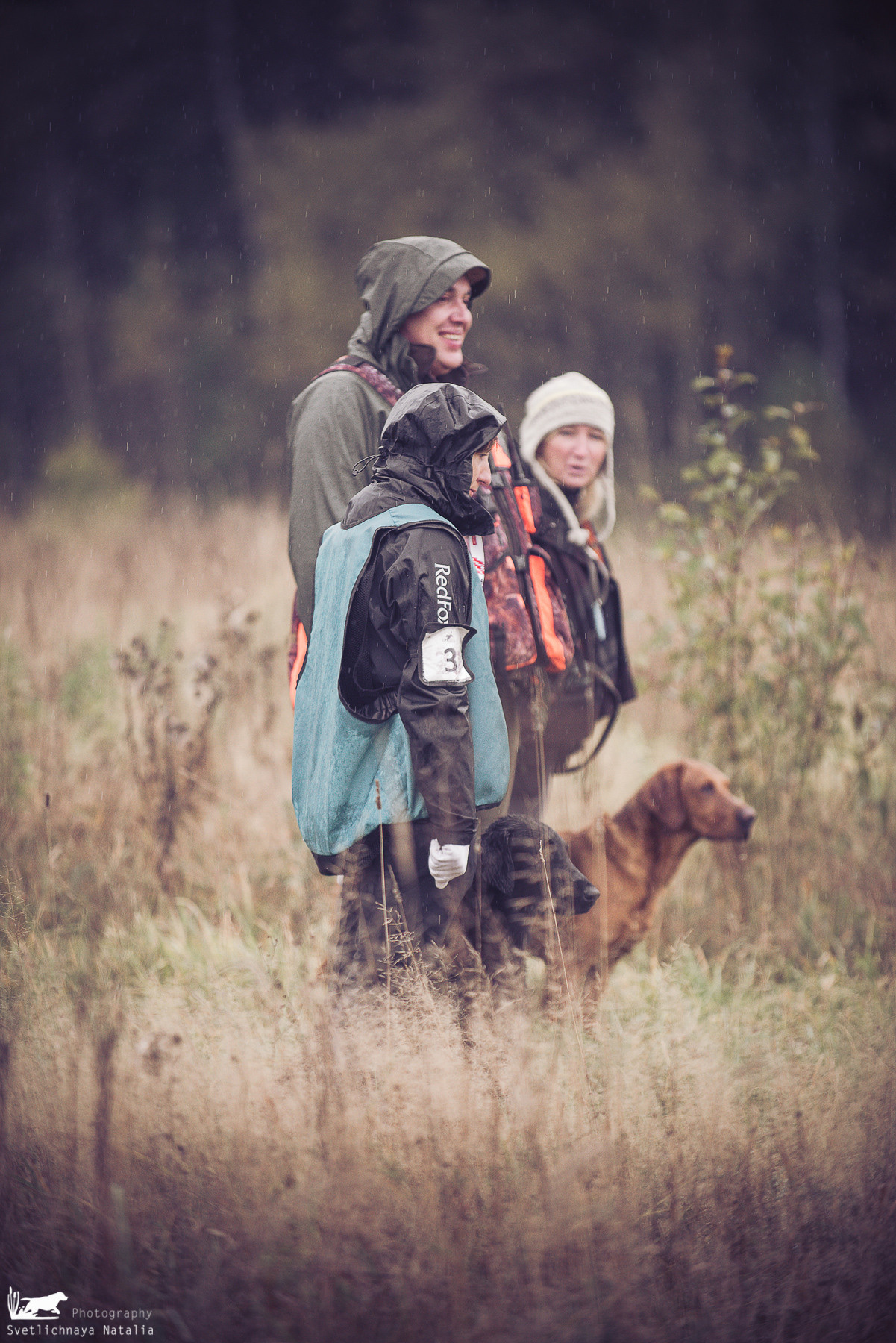 Training Field trial for retrievers, 25.09.2021. Фотограф-анималист Наталья Светличная