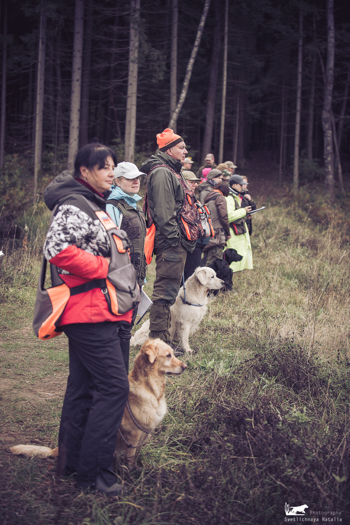 Training Field trial for retrievers, 25.09.2021. Фотограф-анималист Наталья Светличная