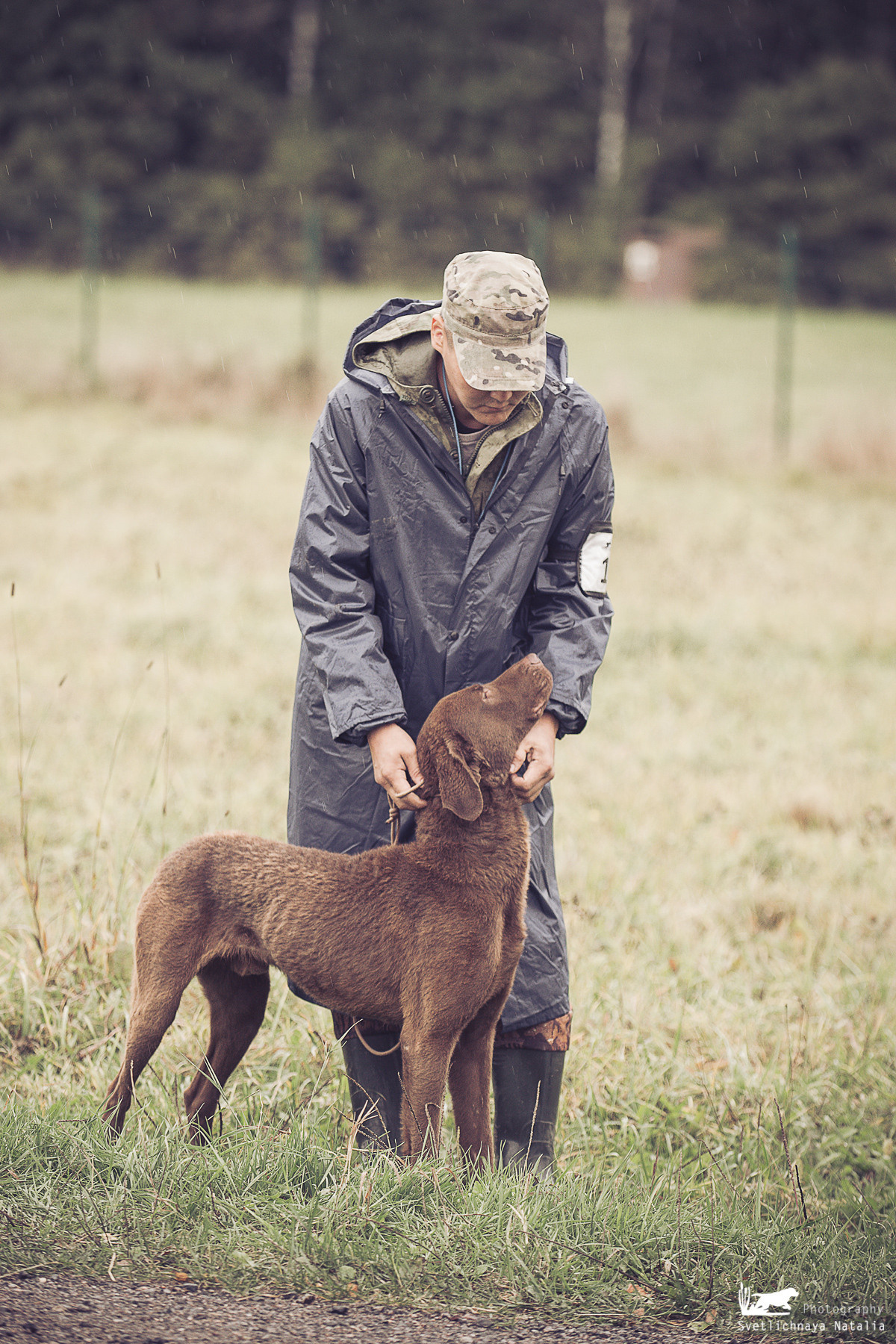 Training Field trial for retrievers, 25.09.2021. Фотограф-анималист Наталья Светличная