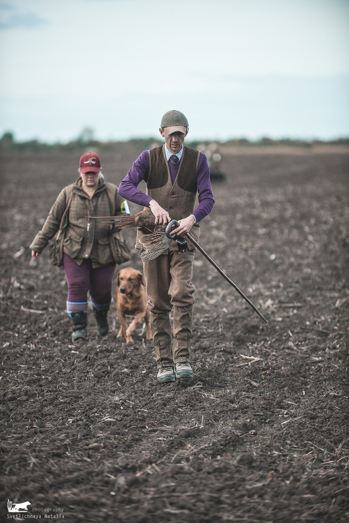 European Field Trial Championship, Hungary, 22-23.10.2021. Фотограф-анималист Наталья Светличная