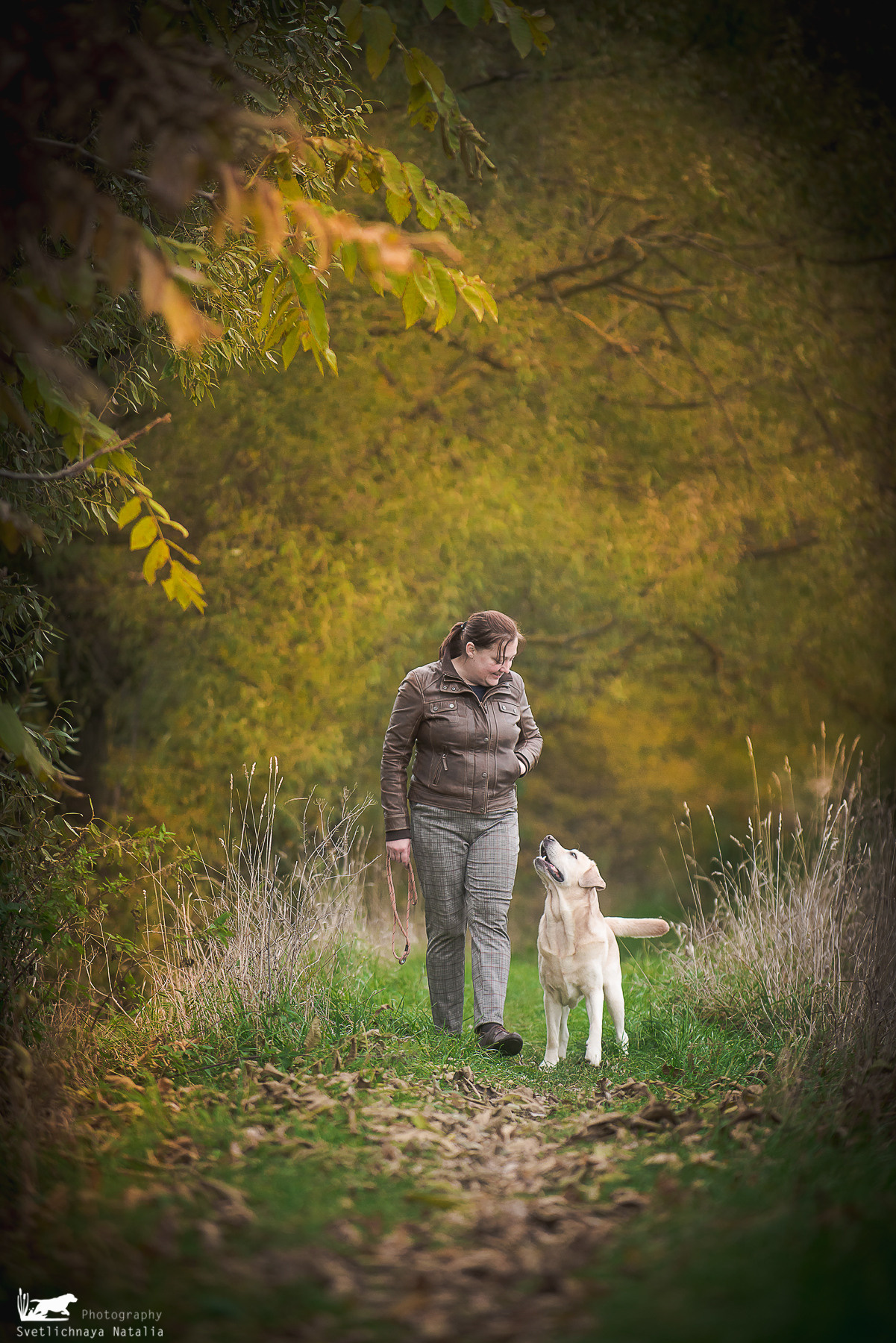 Лабрадор ретривер Цейс, прогулка. Фотограф-анималист Наталья Светличная