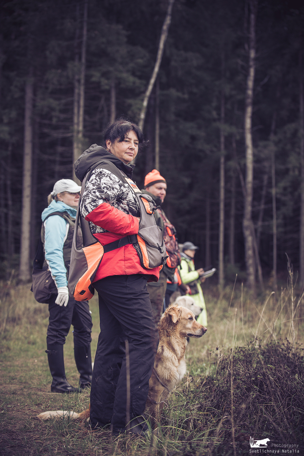 Training Field trial for retrievers, 25.09.2021. Фотограф-анималист Наталья Светличная