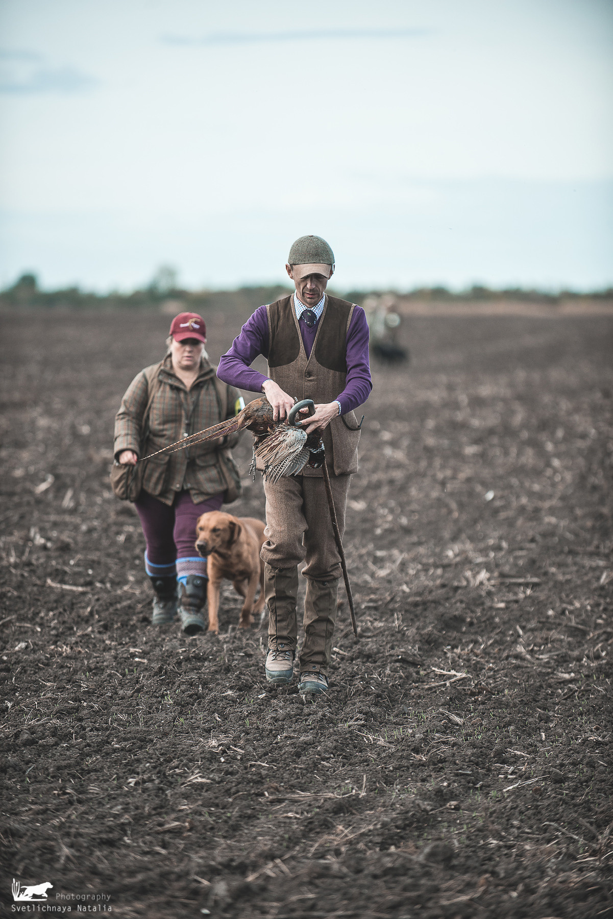European Field Trial Championship, Hungary, 22-23.10.2021. Фотограф-анималист Наталья Светличная