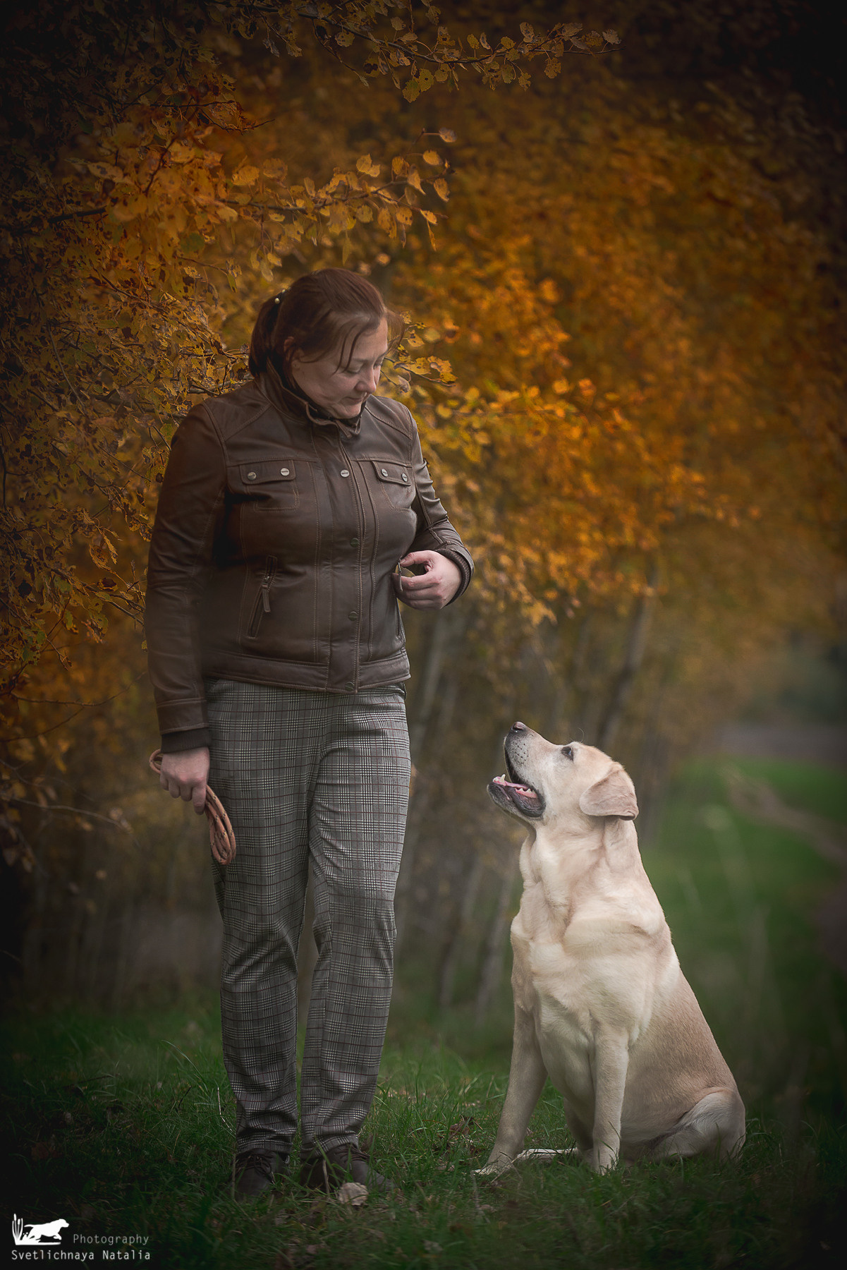 Лабрадор ретривер Цейс, прогулка. Фотограф-анималист Наталья Светличная