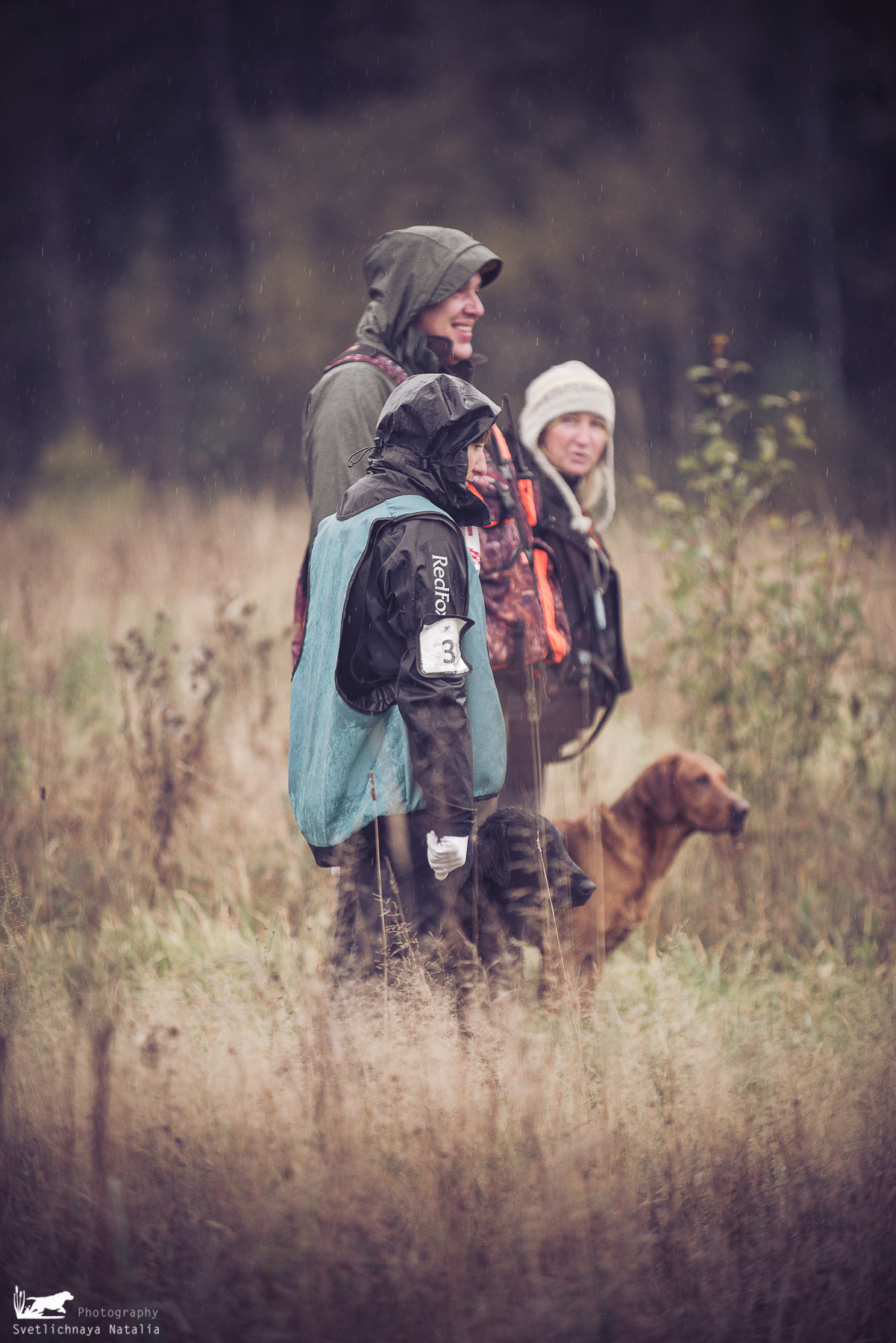 Training Field trial for retrievers, 25.09.2021. Фотограф-анималист Наталья Светличная