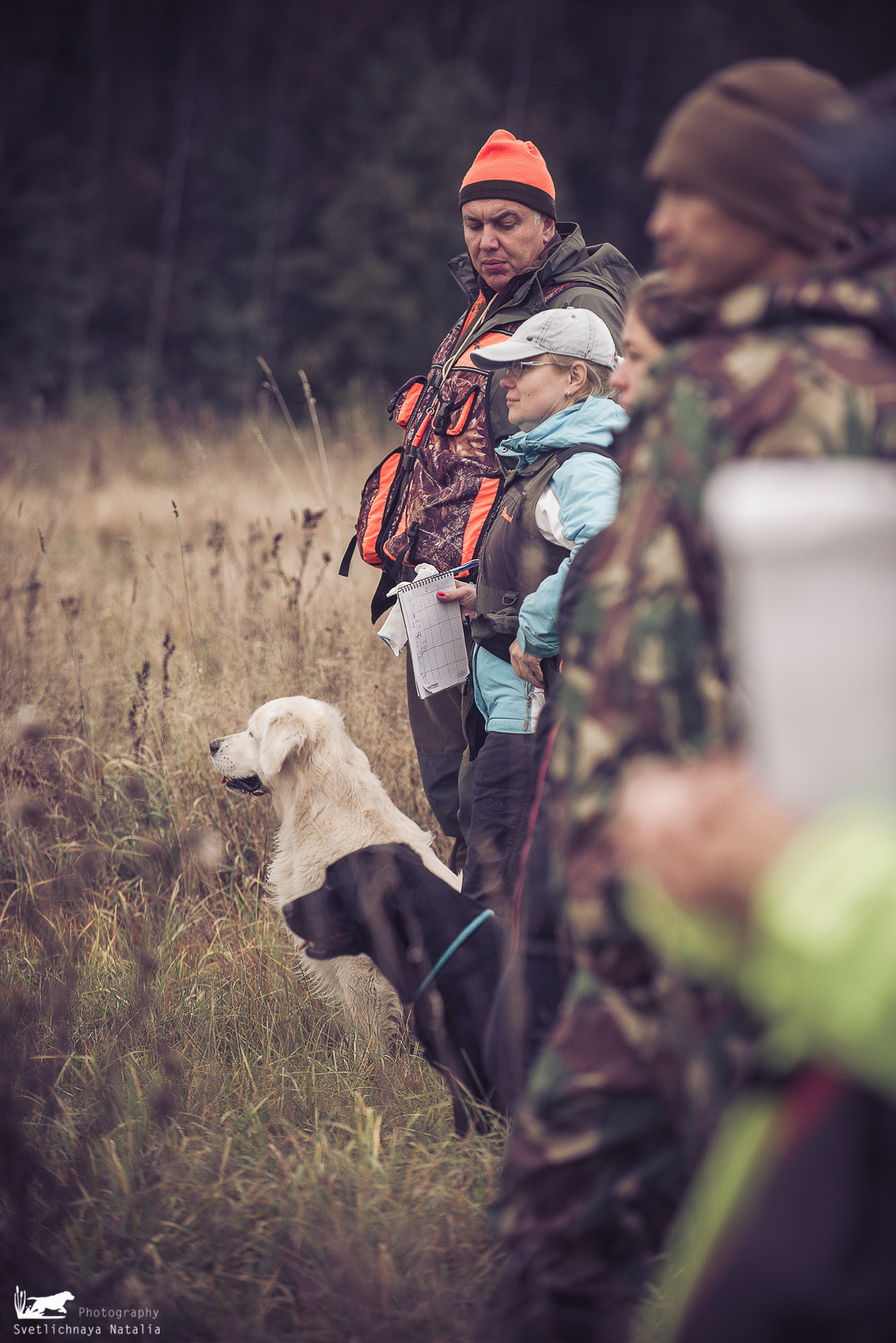 Training Field trial for retrievers, 25.09.2021. Фотограф-анималист Наталья Светличная