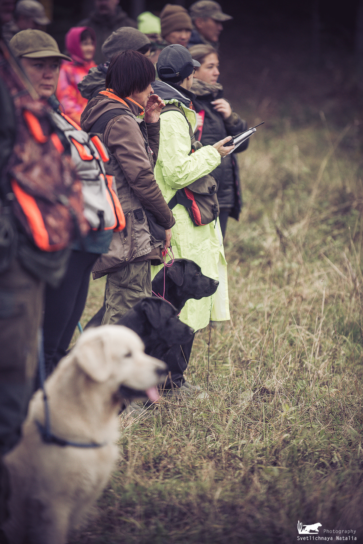Training Field trial for retrievers, 25.09.2021. Фотограф-анималист Наталья Светличная