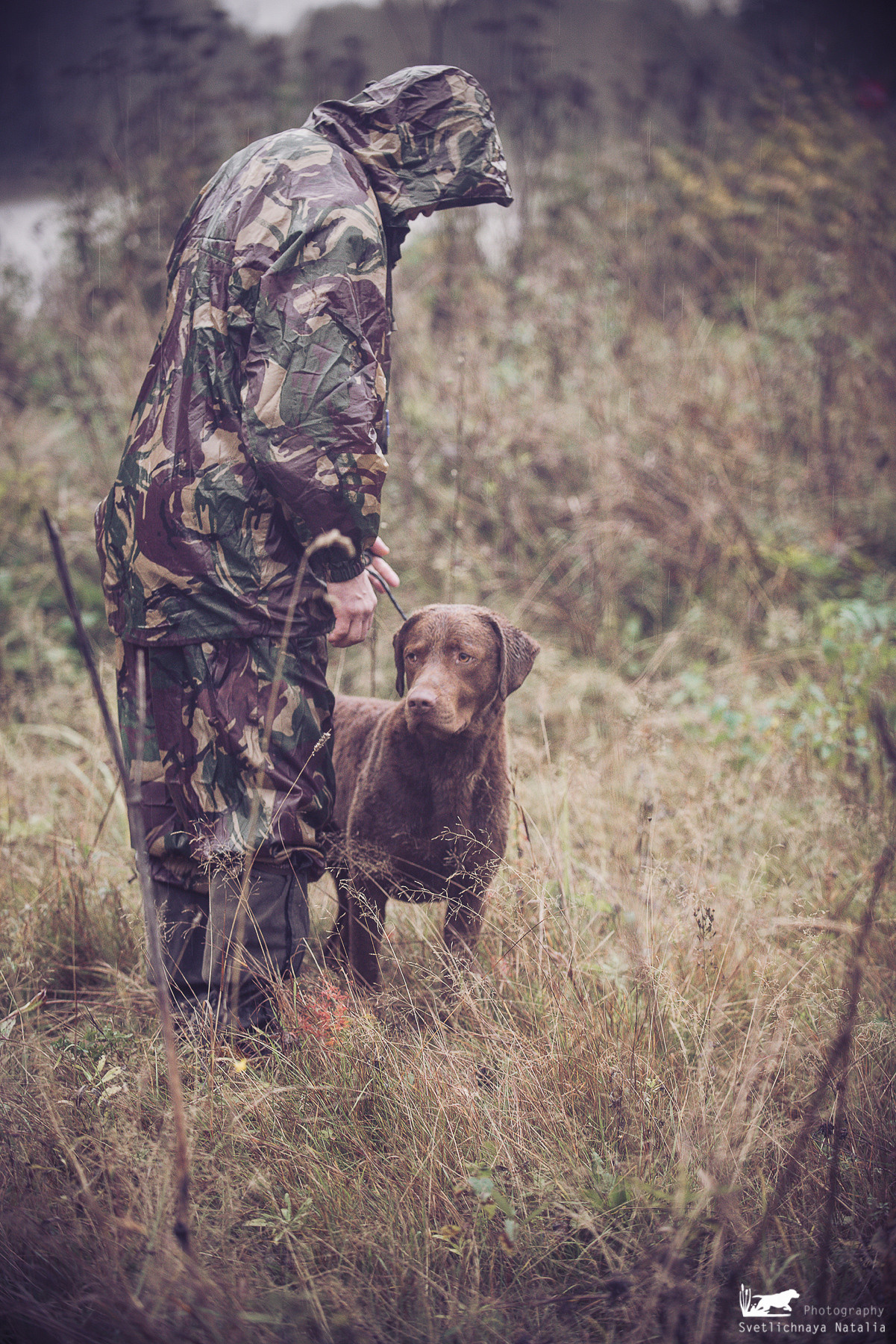 Training Field trial for retrievers, 25.09.2021. Фотограф-анималист Наталья Светличная