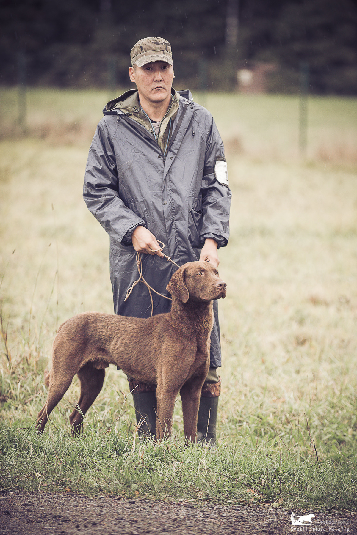 Training Field trial for retrievers, 25.09.2021. Фотограф-анималист Наталья Светличная