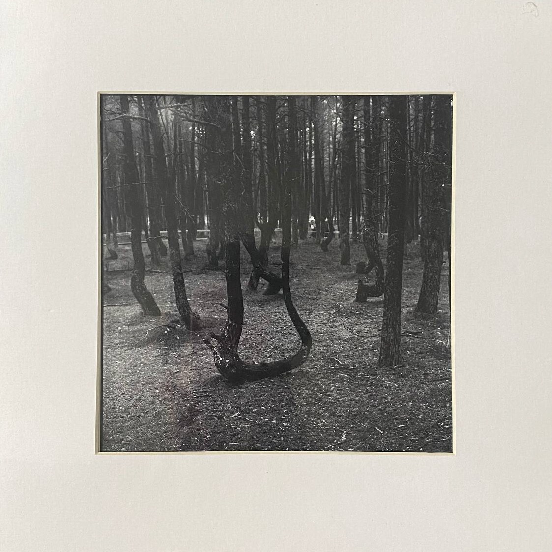 Работы. Об авторе