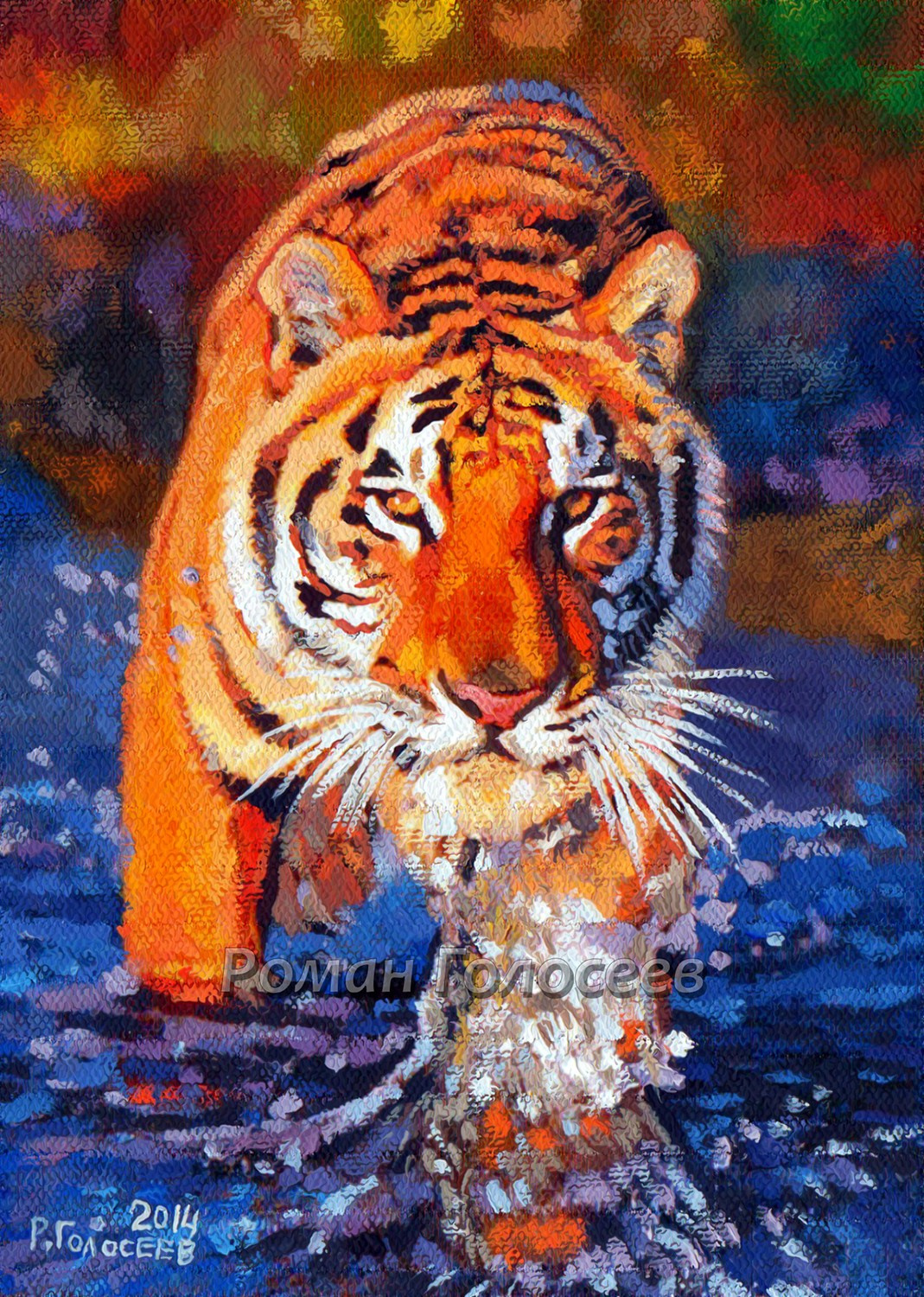 "Амурский тигр на реке", 13х18, холст, масло, 09.08.2014