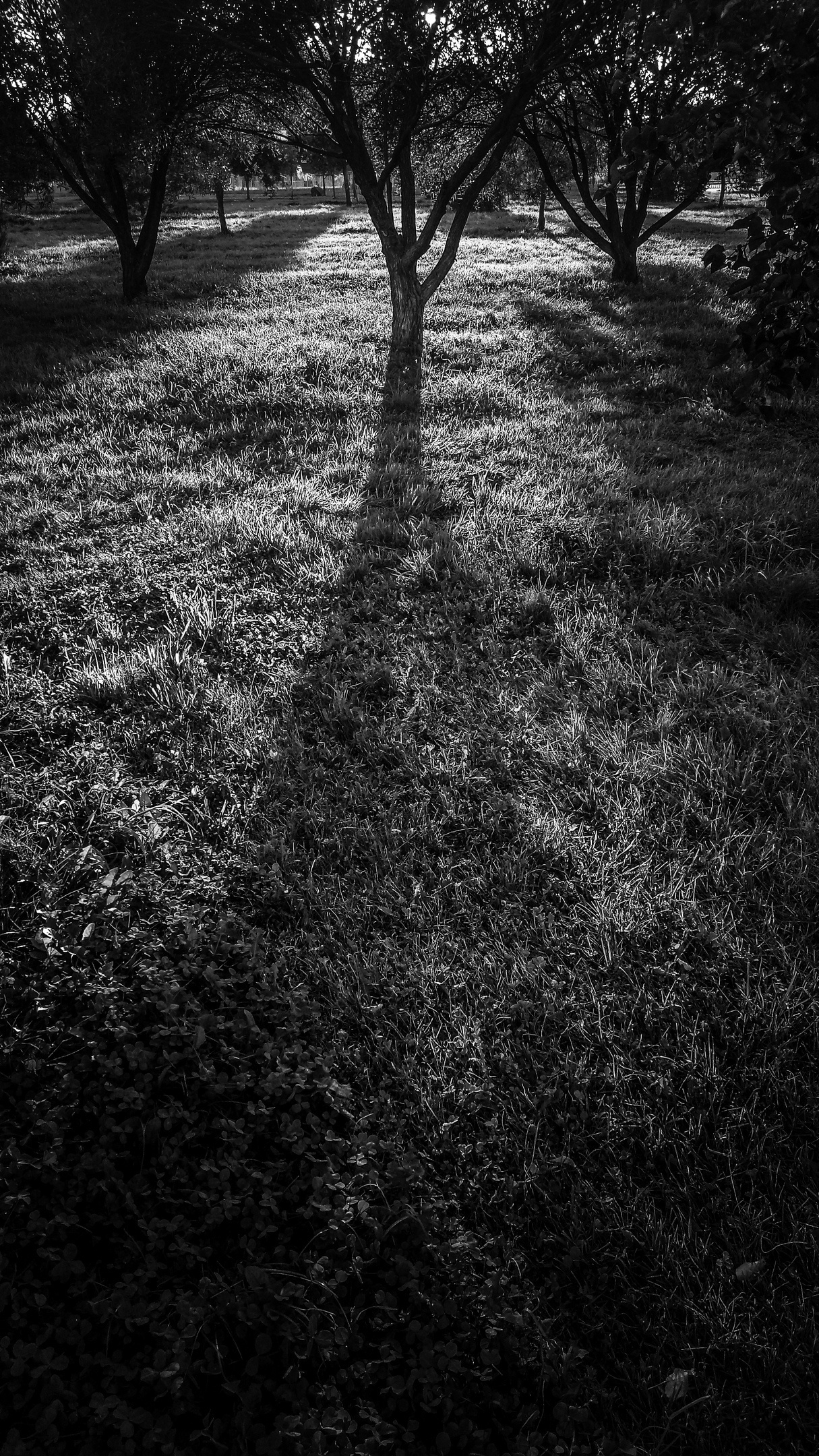 Уличная фотография. Фотограф Сердюковский Михаил