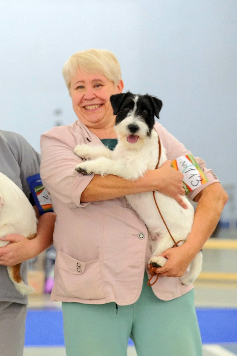 Port Fortis Play Boy