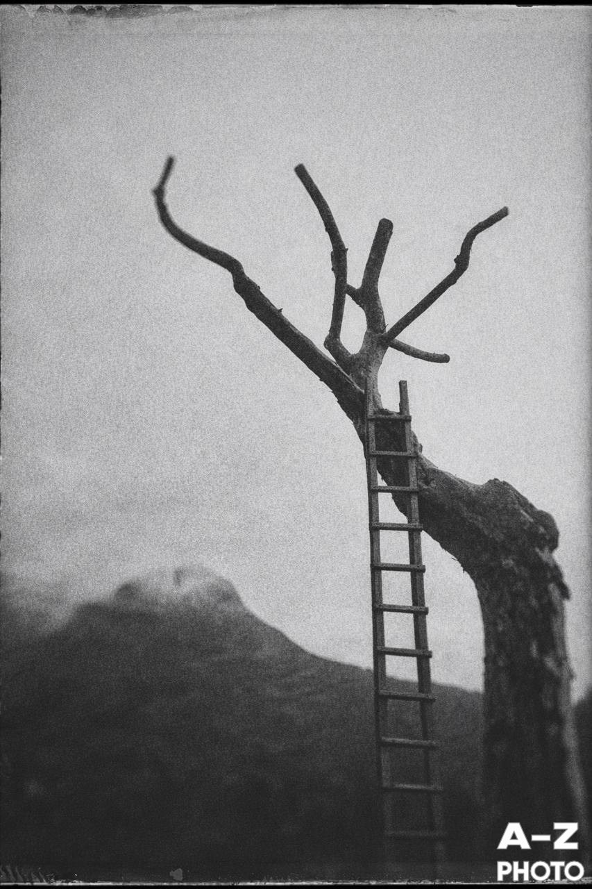 #ФОТОНЕДЕЛИ 20.04.2026. Женский семейный фотограф Тула Москва Захарова Анна