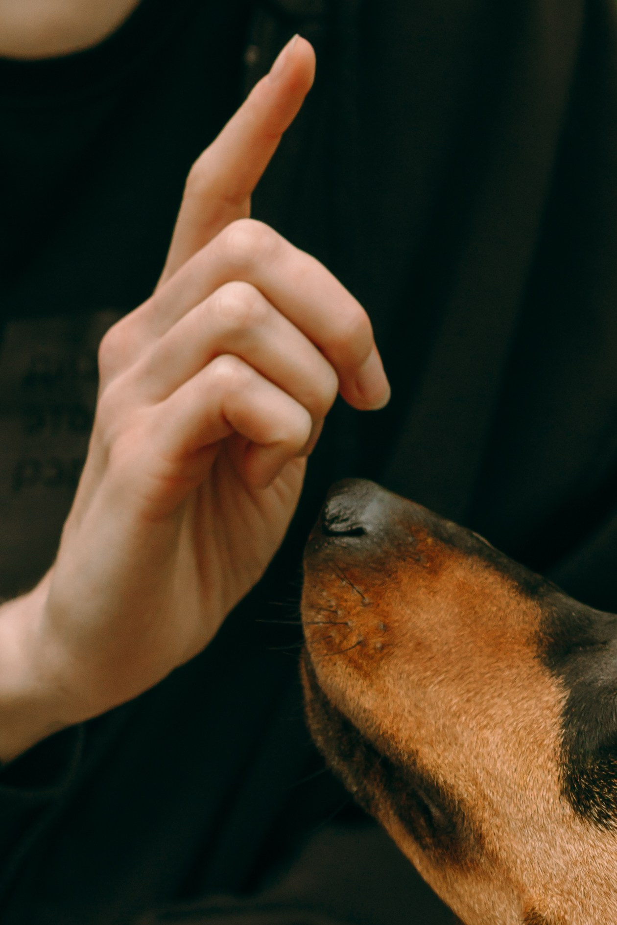 Кира, Максим и Аскара. Фотограф-анималист Ксения Воробьева, Москва