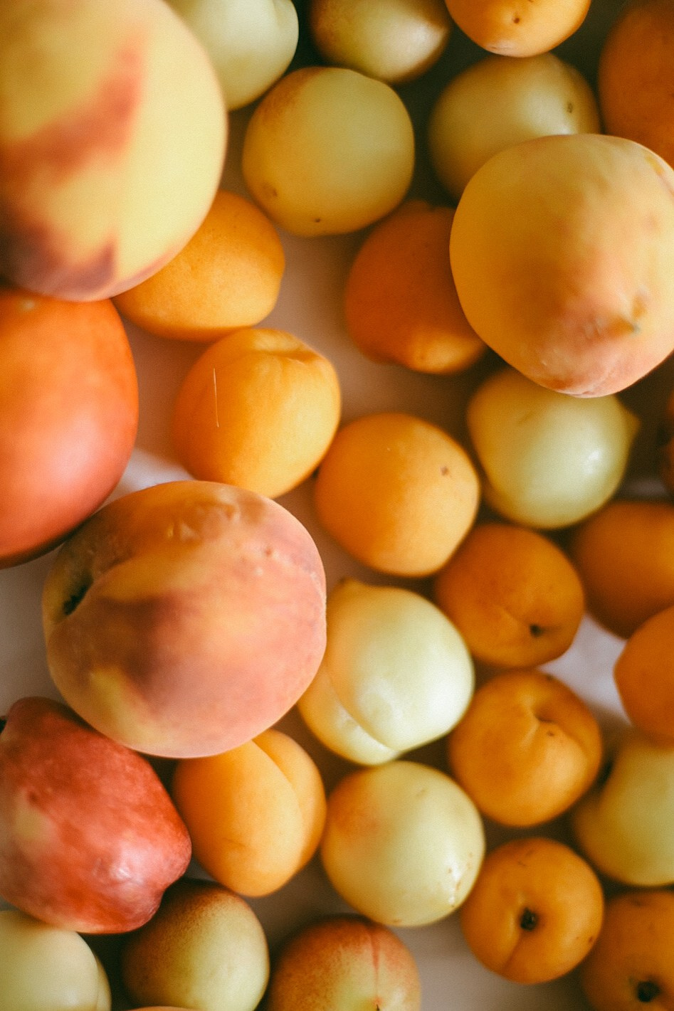 Саша и Вера. Фотограф Нижний Новгород