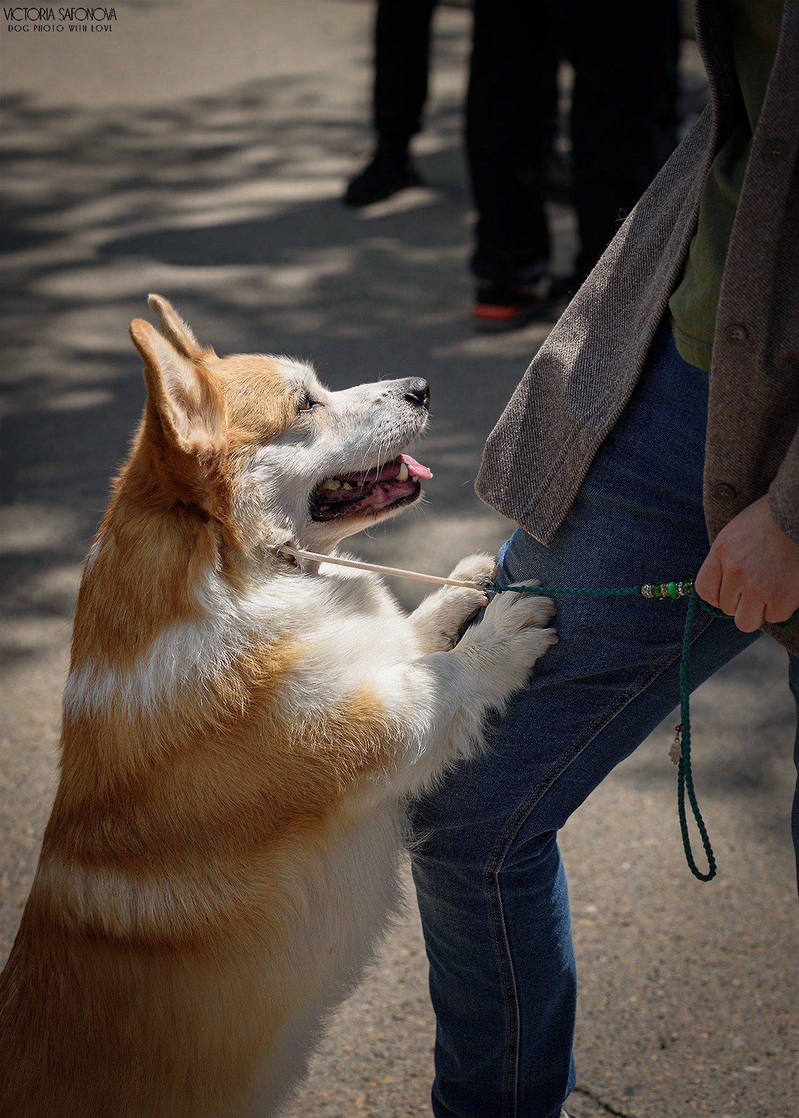24–25 мая 2025. Благовещенск. Фотограф анималист Благовещенск. Сафонова Виктория