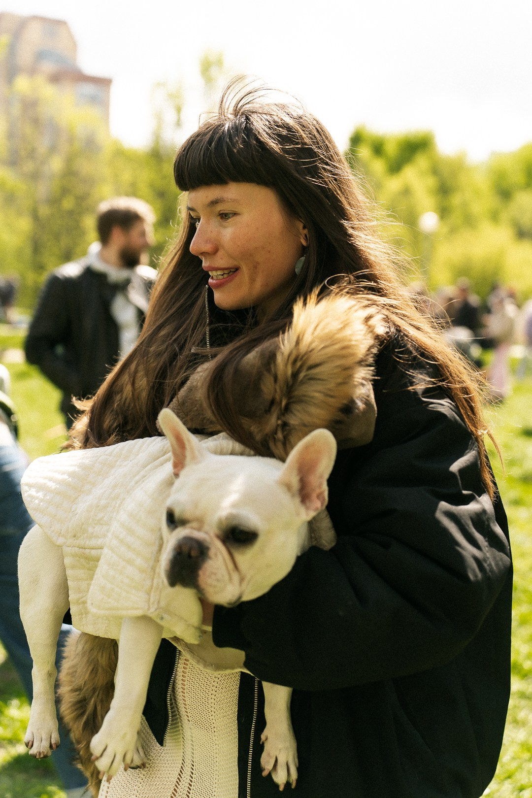 Парад Бульдогов. Axenov_eugene