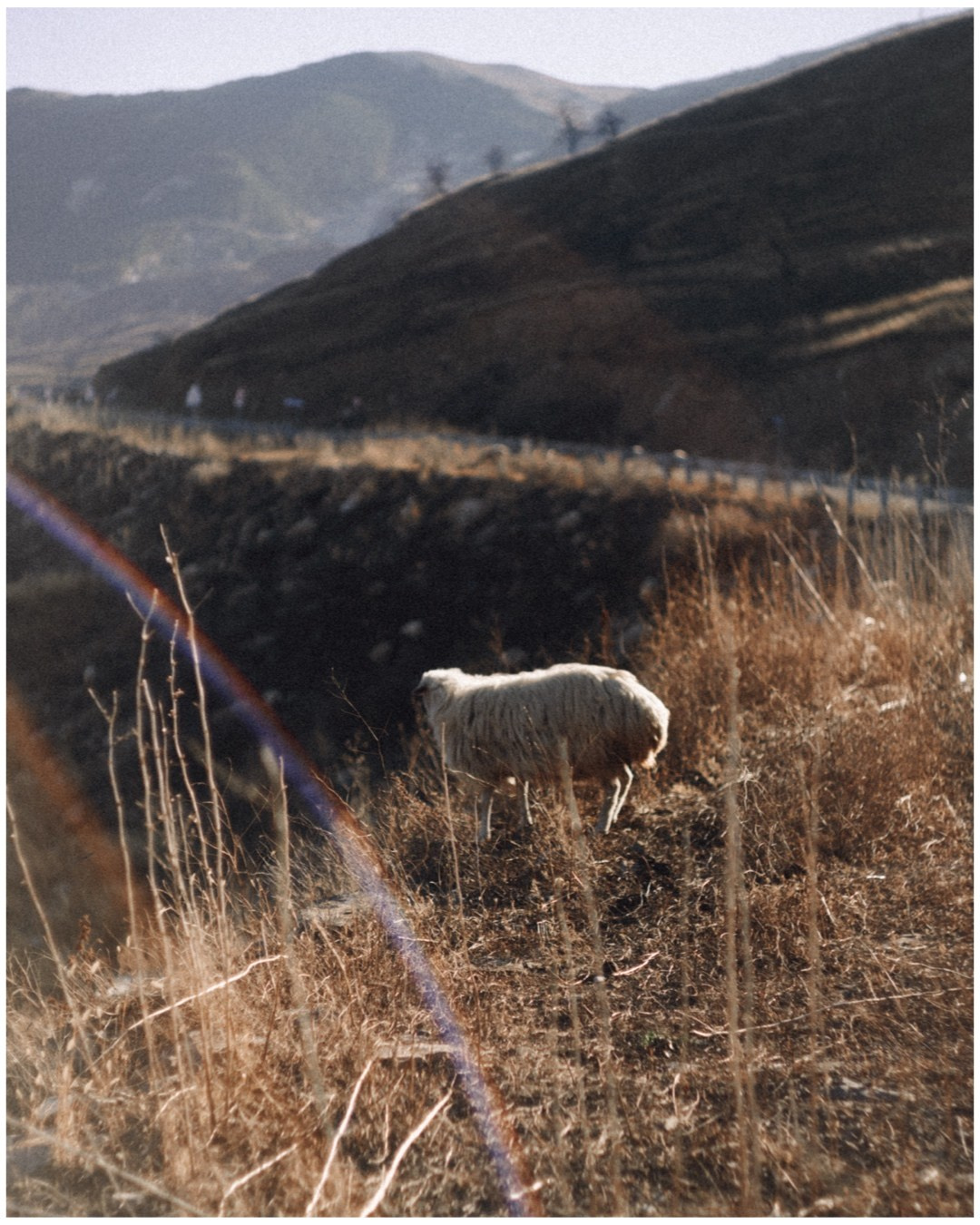 Дагестан. Фотосъёмка для компании по организации туров