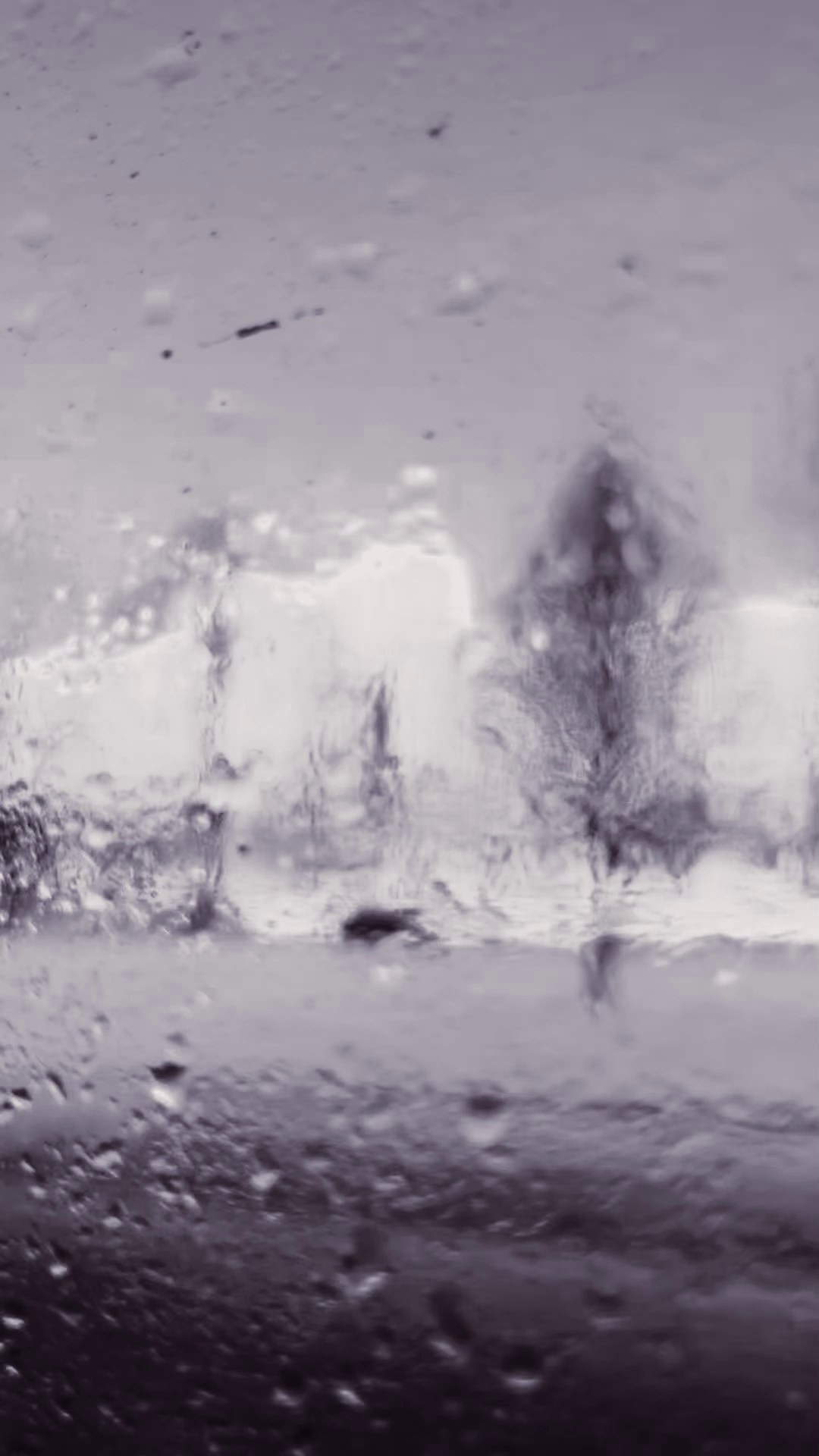 Видеограф для бизнеса в Санкт-Петербурге и Москве