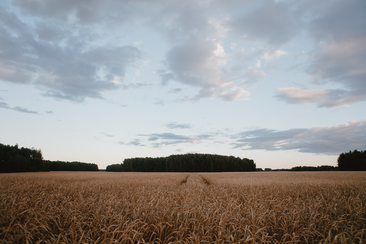 Макс и Ксюша. Семейный и свадебный фотограф в Нижнем Новгороде