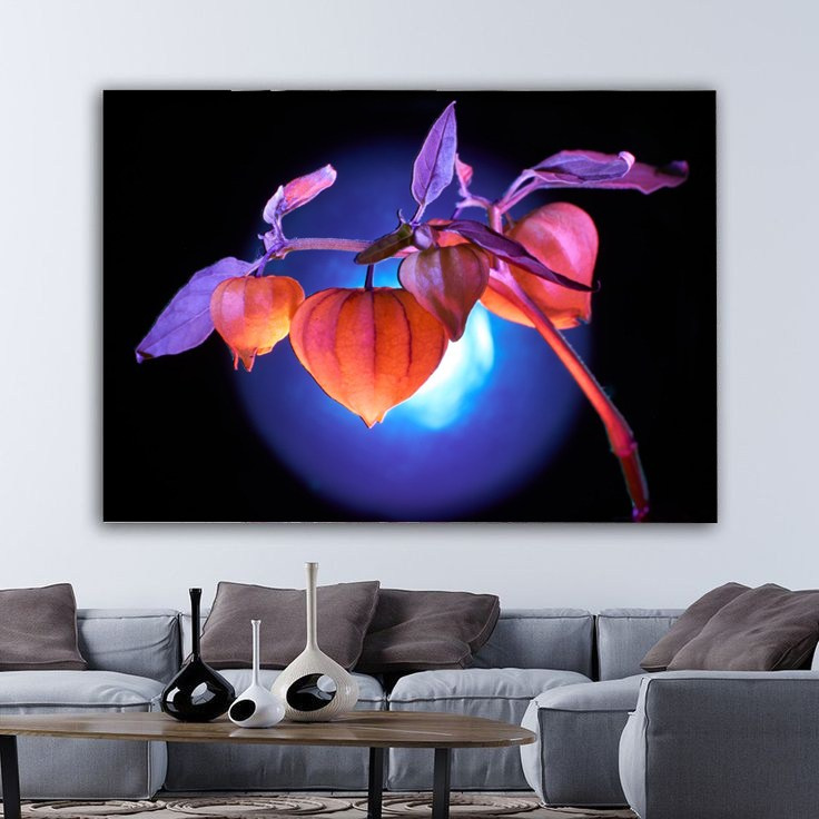 Приобрести. Арт-фотограф во Владивостоке Дмитрий Осипчук