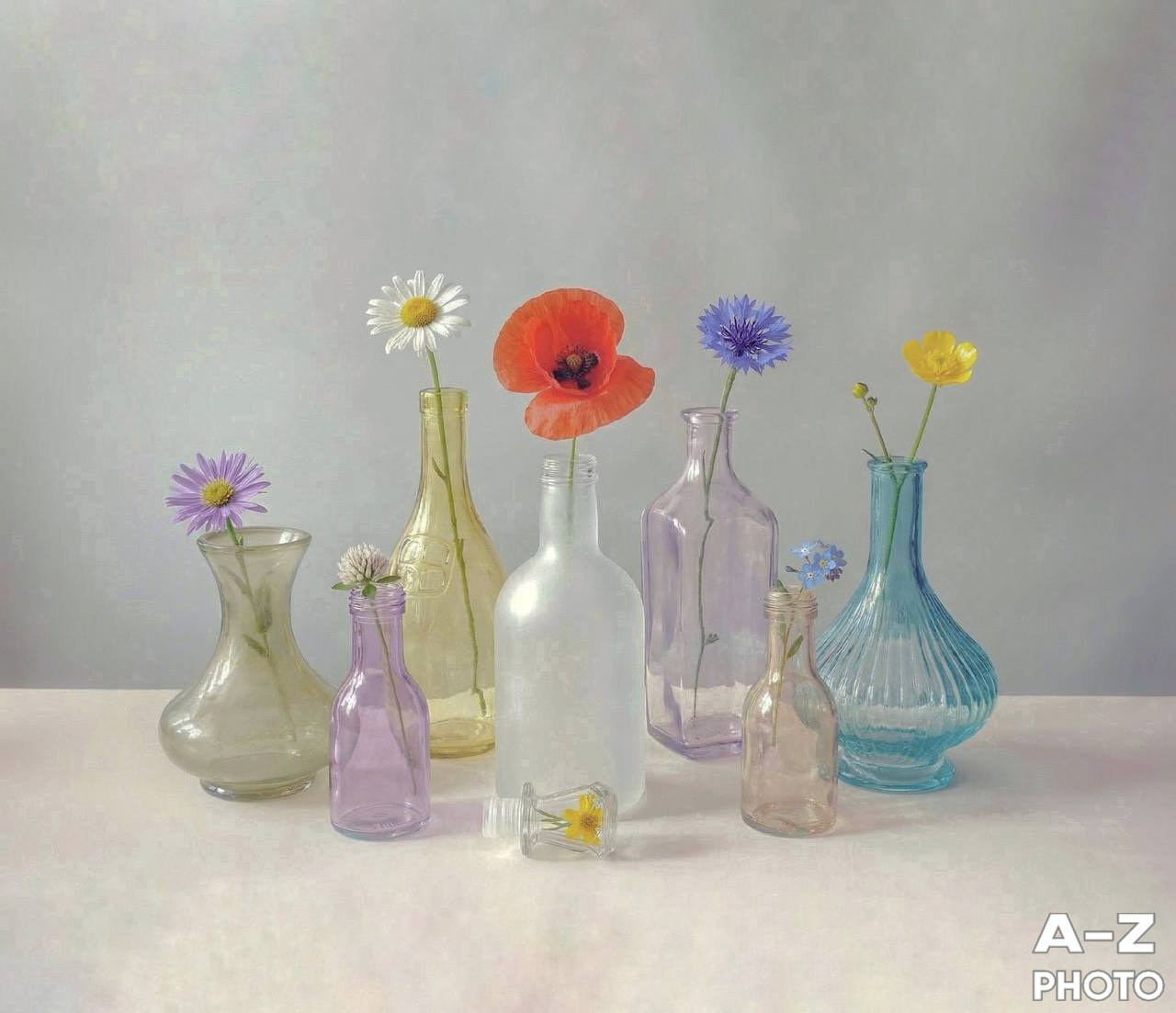 #ФОТОНЕДЕЛИ 13.04.2026. Женский семейный фотограф Тула Москва Захарова Анна