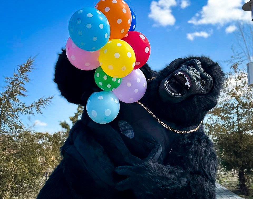 Эксперсс поздравление.ростовые куклы, медведь, панда, горилла. Организатор праздников. Ведущая Марина Гребенникова