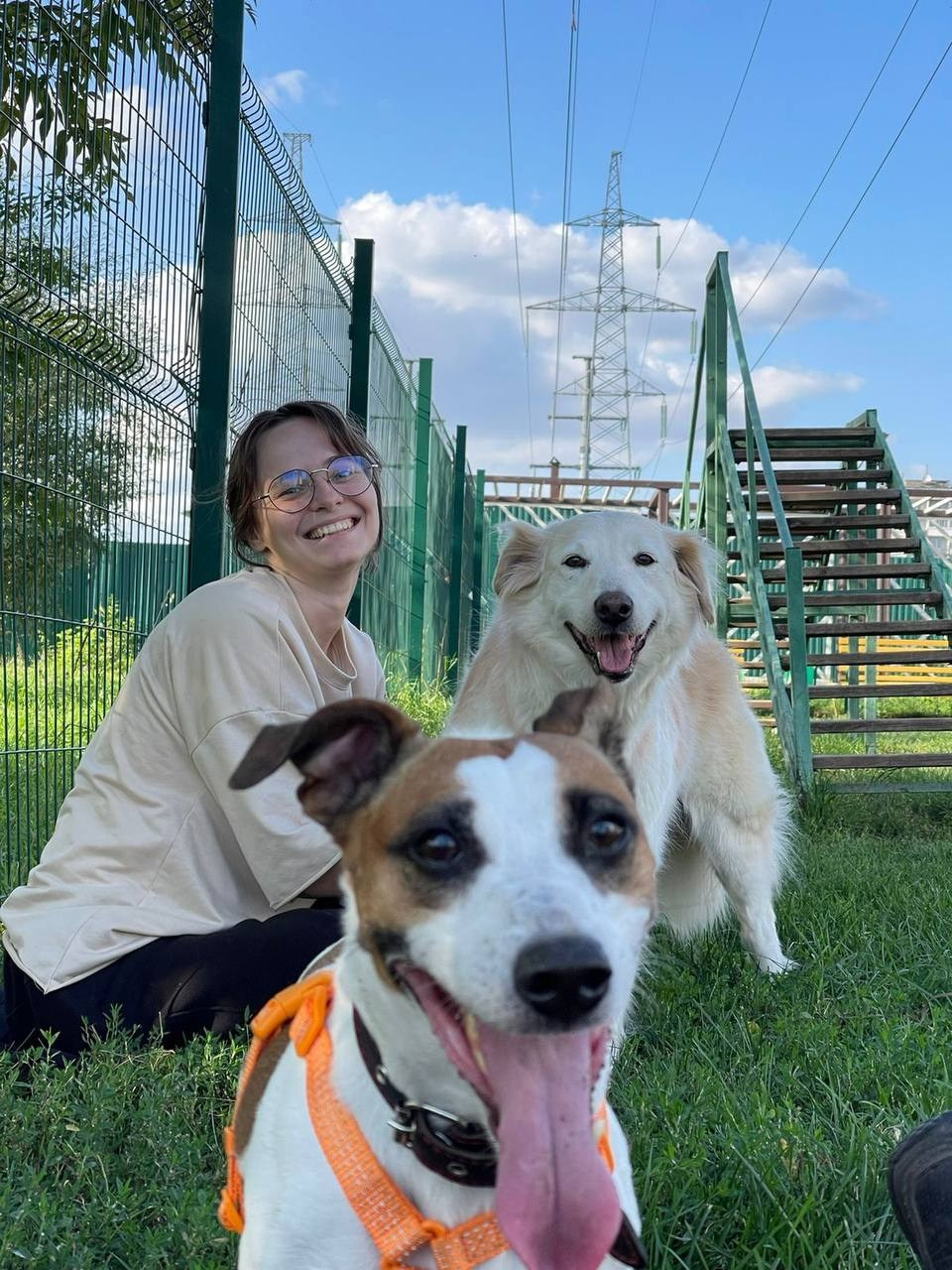 Уже дома. Забери домой друга