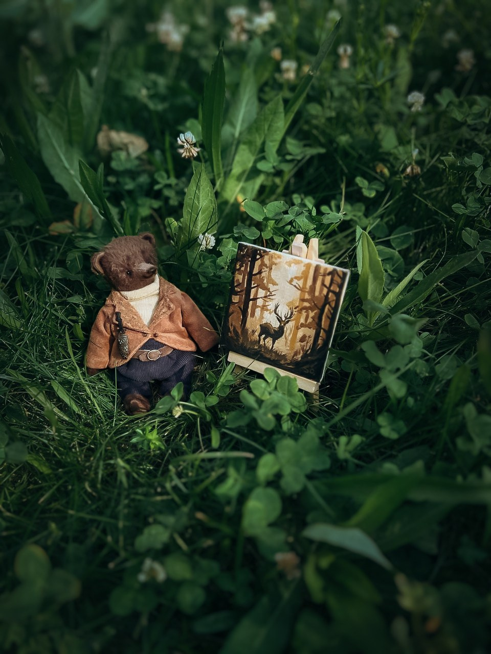 Тедди. Фотограф Ольга Сальманович