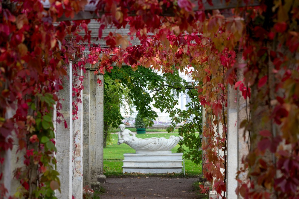 Локации в Петергофе