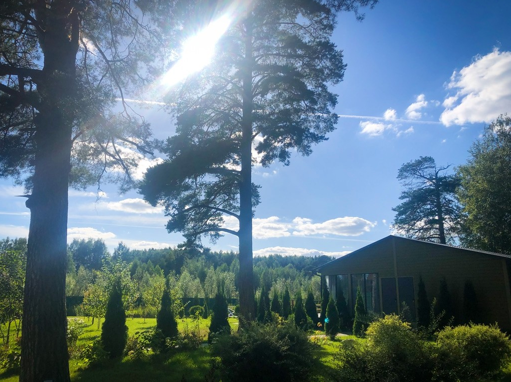 Площадка № 3-14. Свадебный организатор Москва