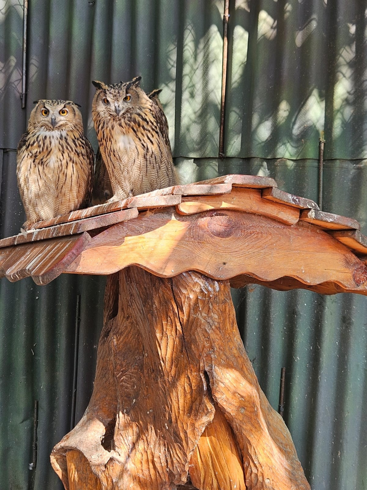 Владивосток 1 | 18-21.09.2025. Галерея Фантим