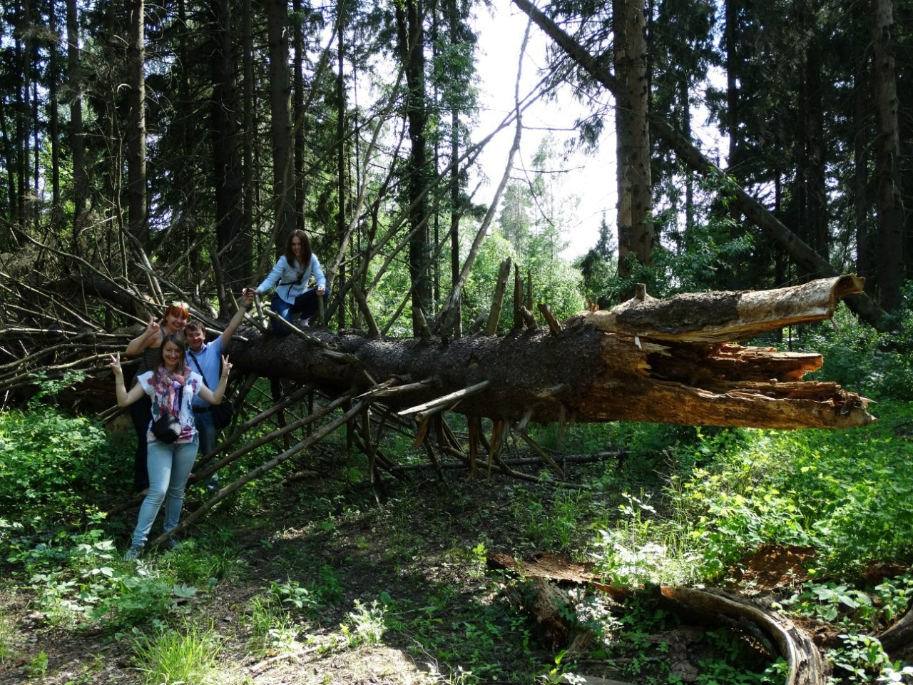 Звенигород | 07.06.2015. Галерея Фантим