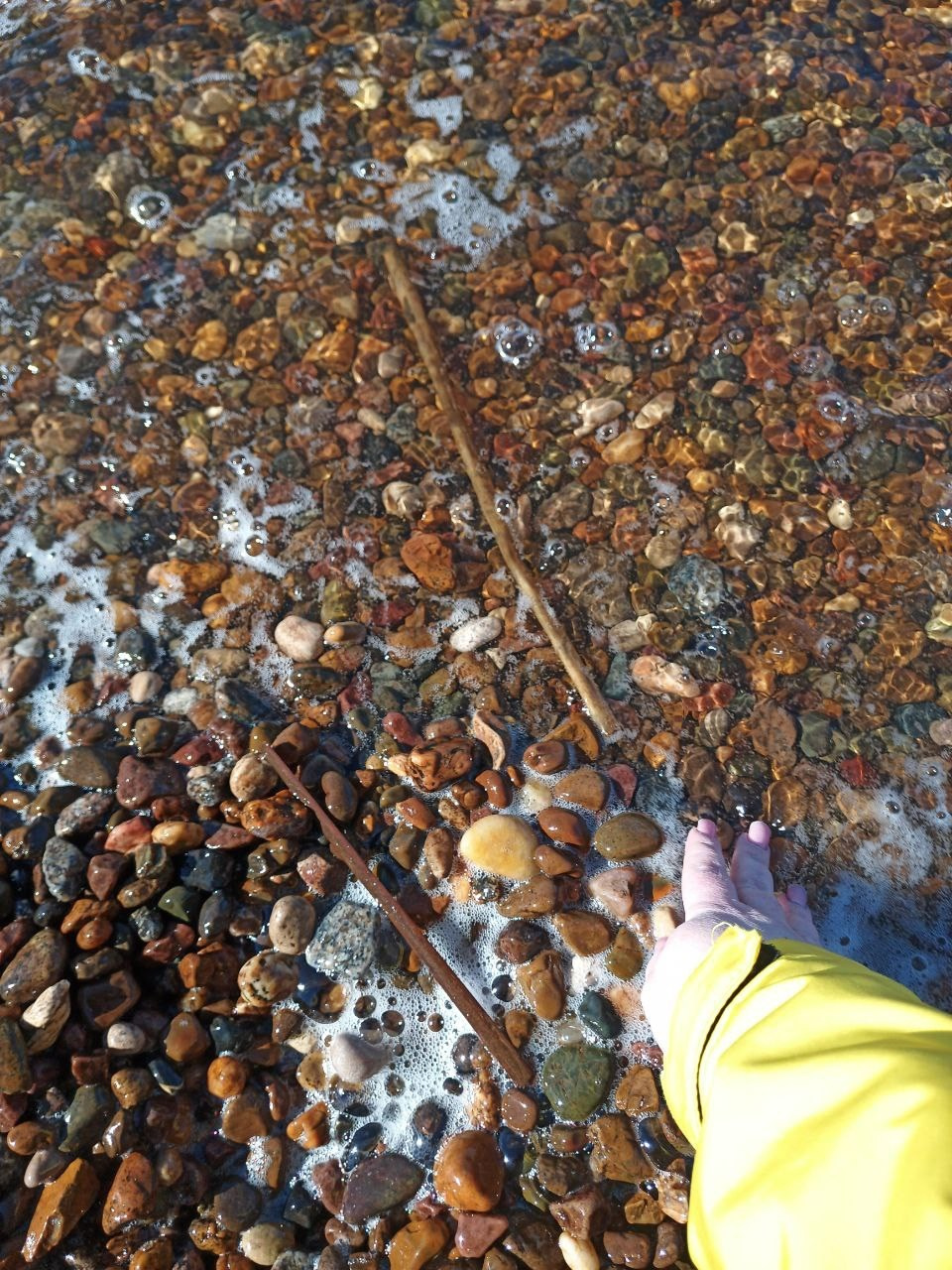 Дубна. Экскурсионная поездка | 12.04.2025. Галерея Фантим