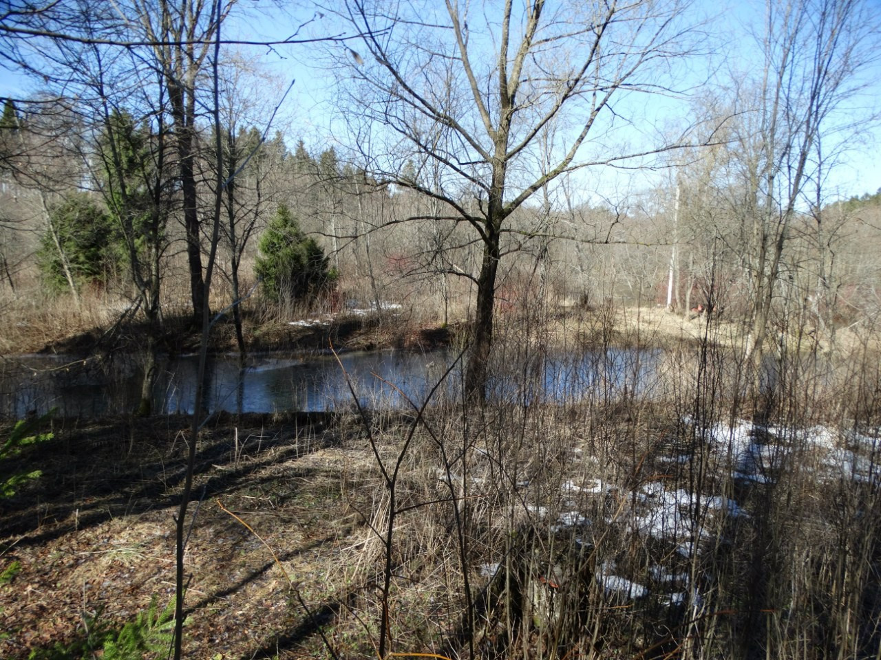 «Весенний переполох» Загородный выезд | 16-17.04.2016. Галерея Фантим