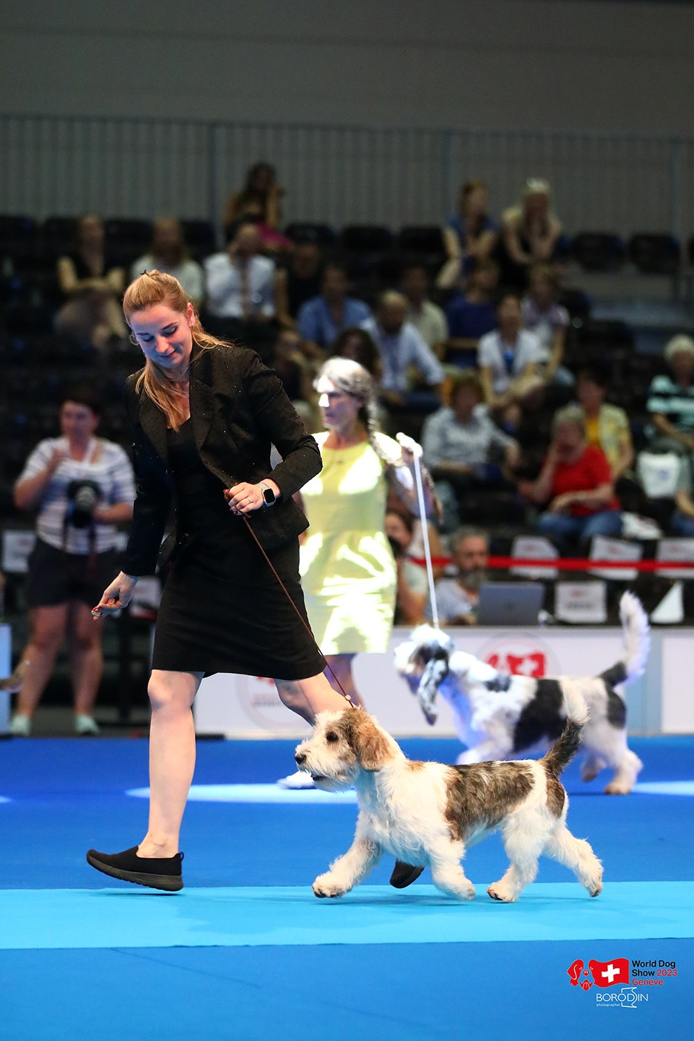 24-27.08.2023 WDS Geneva. Фотограф Дмитрий Бородин