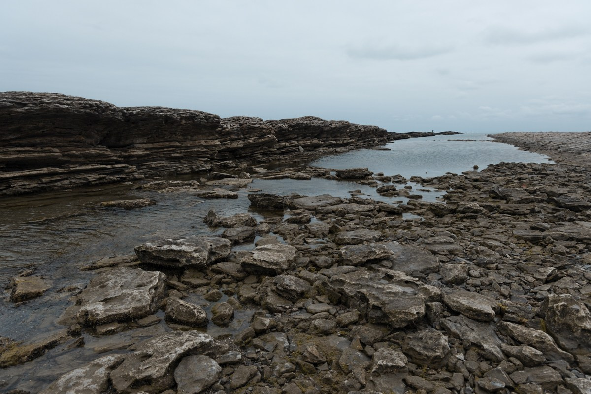 Избербаш. Photomantis