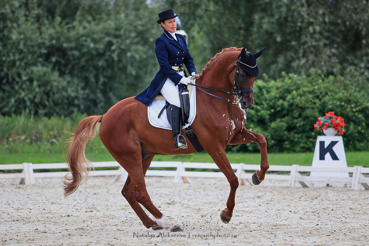 Всероссийский турнир по выездке, КСК Новый Век | 08'2019