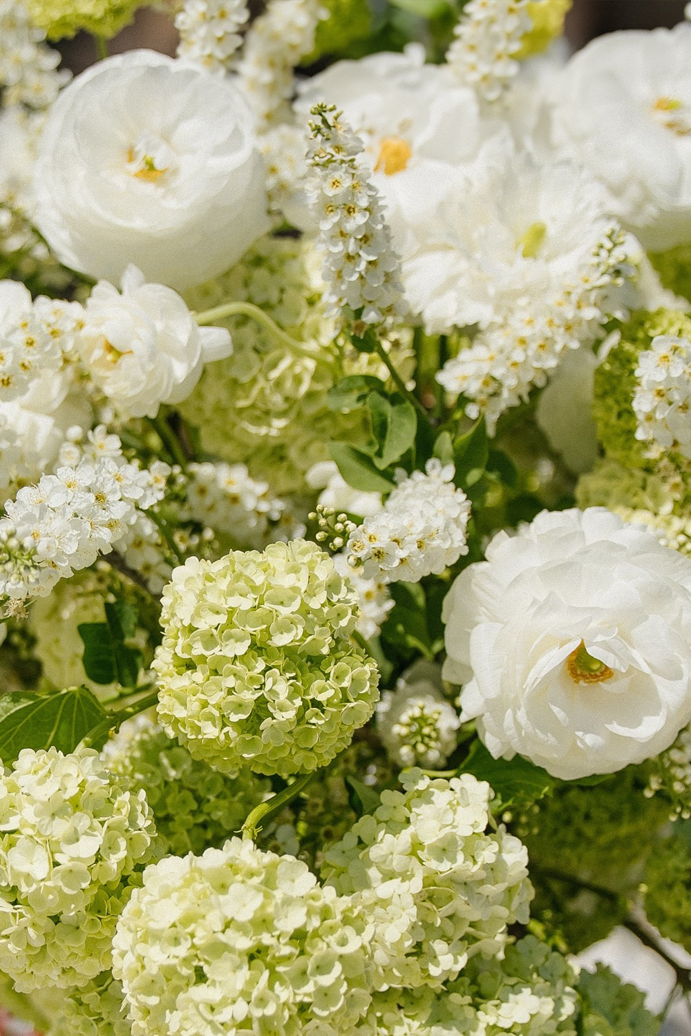 In the South. Свадебный фотограф Москва