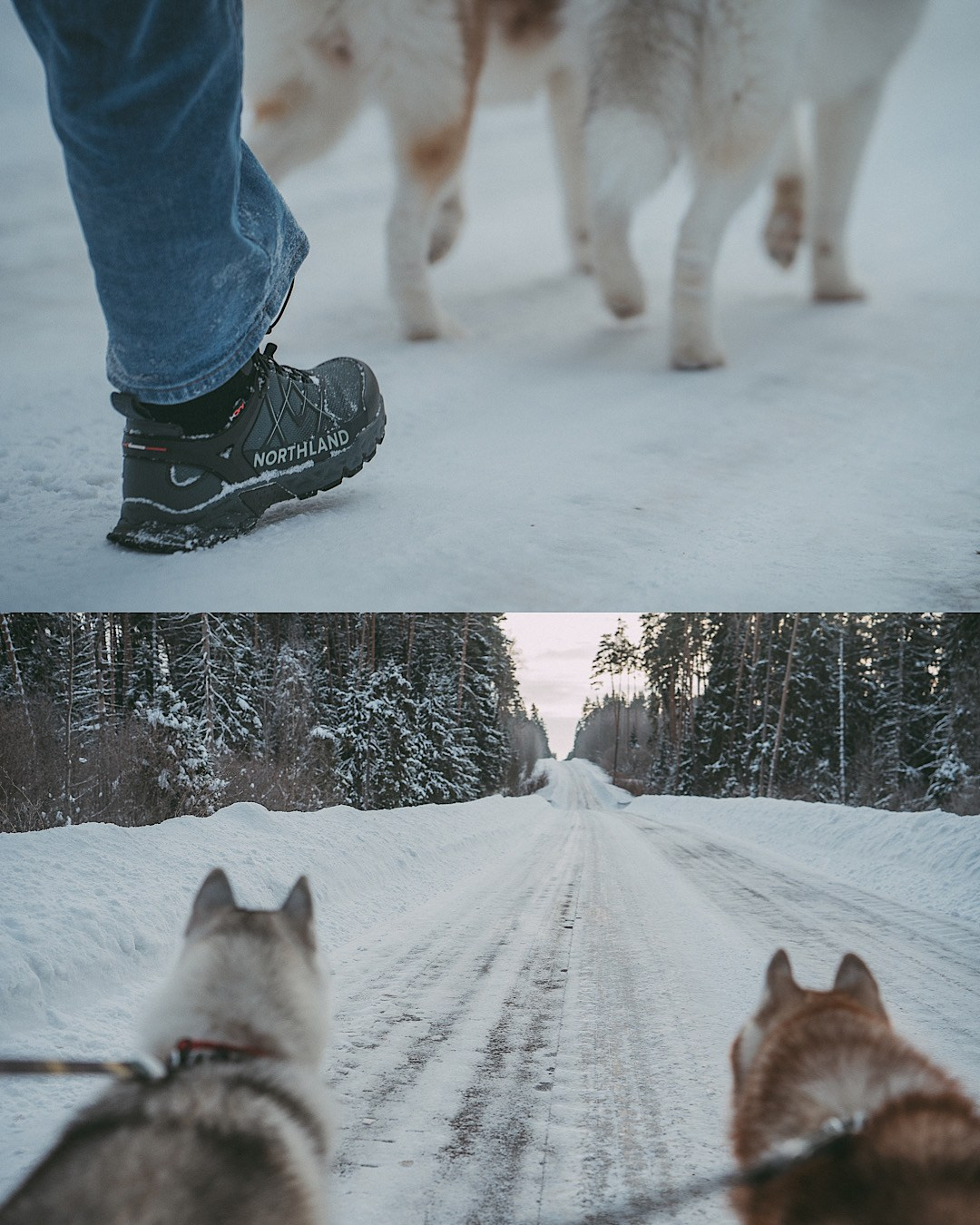 Полина, Уго и Пышка. Фотограф анималист в Москве и Санкт-Петербурге Свиридова Анна